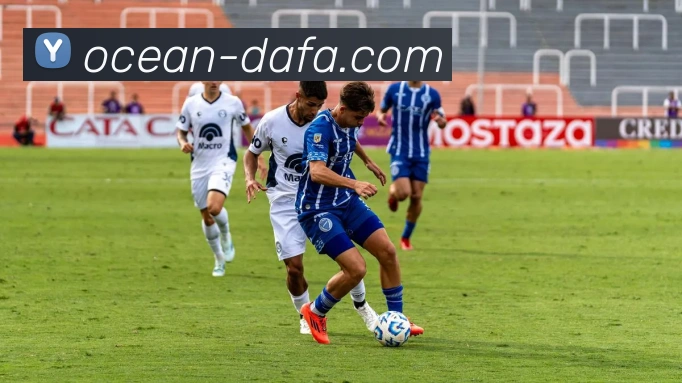 大发彩票平台生态图